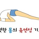 필라테스 평일 네이버블로그