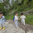 4월 마지막주 생태놀이(정성미 담기/ 무당벌레, 애벌레 관찰하기/민들레 홀씨 날리기/내손발 찍기/맨발걷기/흙동산 흙놀이) 이미지