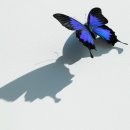 나비모텔 이미지