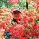 신트리공원 이미지