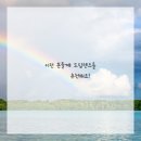 더드림의료기 이미지