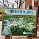 소라쉼터 | 대전숲체원 방문후기 예약 가격 주차장 총정리