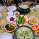 토지삼계탕 - 장흥군 | [인천 용현동 삼계탕] 깊고 진한 국물, 어르신들의 핫플 '153 한방 삼계탕' 솔직 후기 (내돈내산)