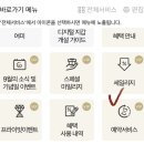 브이아이피하우스