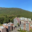 복산공인중개사사무소 이미지