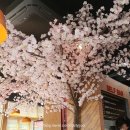 머구식당 이미지