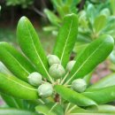 청미래마트 이미지