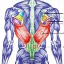 이지짐(EZGYM) 네이버블로그