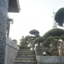 오아시타 이미지