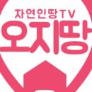 영천남부공인중개사사무소 이미지