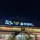 율하돼지