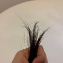 진헤어플러스 이미지