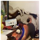 디쟈트가구 | 디쟈트가구 서울매장 가구매장후기