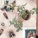 쓰담쓰담 아로마 테라피스트 이미지