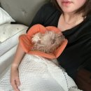 추억의 뽑기방(남산점) | 돌아보니 행복했다. 2025. 09