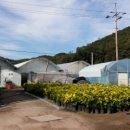 일영낚시터 이미지