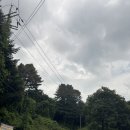 스위트왈왈 | 포천 나무새 숲속 수영장 캠핑장 프리미엄 A16 후기