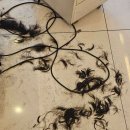 신림동-6 이미지