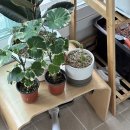 5402 | RC-5402 레이나 청소기 후기｜가성비 최고 2in1 핸디&amp;스틱 청소기