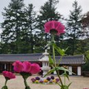 한소리 외치매 삼생의 꿈 깨어지고, 외지팡이 휘둘러 대적관을 여네. 이미지