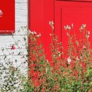 갤러리 스테이 이미지