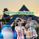 pet59너 3208 | 2년 연속 가게 된 [2024 이슬라이브 페스티벌] 준비물 및 후기 (feat. 취켓팅 성공 꿀팁)