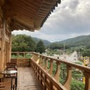 운암애견 이미지