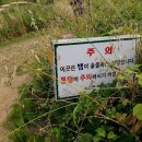 약방펜션민박 이미지