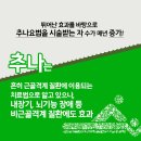 심지한의원 네이버블로그