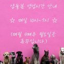 샵돌봄 네이버블로그