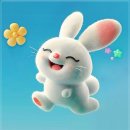 정플란트치과의원