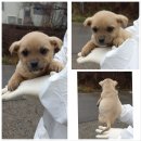 강문리마을회관 이미지