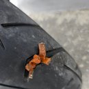 능주자동차공업사 이미지