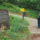 천성국군묘지 이미지