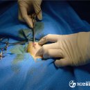 가디언 동물의료센터 이미지