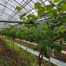 샤인하우스 가동 이미지