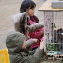 규범농장 이미지