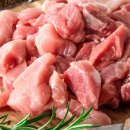 금빛한돈 이미지