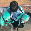 엑스포 | 미쿠엑스포 후기