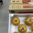 빅할인마트 이미지