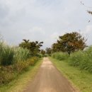 을숙도 생태공원 이미지