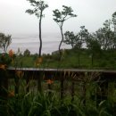 꽃향기 바다내음 이미지