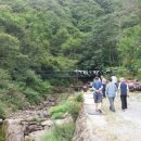 어름골맛집 이미지