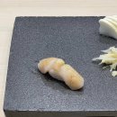 메시호산신세계