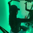 더헬스 앤 피티 이미지