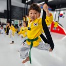 품태권도장 이미지