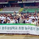 DB 이데일리