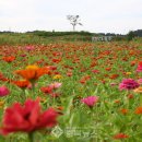 탄금공원 이미지