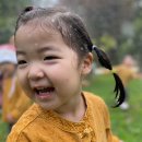 아기둥지어린이집 | 우리들자연학교 6월 28일 나무둥지 어린이집 수업후기