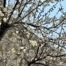 청계천변(신답역뒤) 이미지